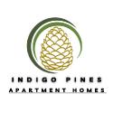 View Daytona Beach apartments for rent at Indigo Pines